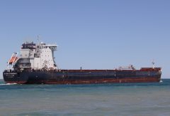 Thumbnail Image for Algoma Strongfield