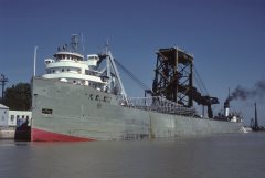 Thumbnail Image for T.W. Robinson