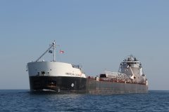 Thumbnail Image for American Courage