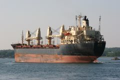 Thumbnail Image for Milo