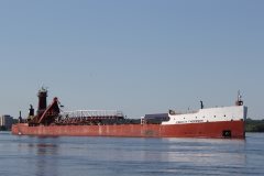 Thumbnail Image for Joseph H Thompson Jr