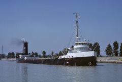 Thumbnail Image for Bricoldoc