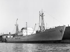 Thumbnail Image for Tazacorte oncontextmenu=