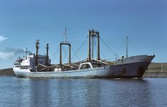 Thumbnail Image for Pitria Spirit