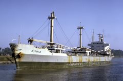 Thumbnail Image for Pitria oncontextmenu=