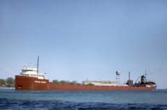 Thumbnail Image for Thomas Wilson