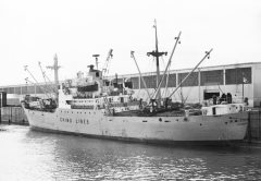 Thumbnail Image for P.M. Crosbie