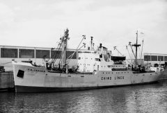 Thumbnail Image for P.M. Crosbie