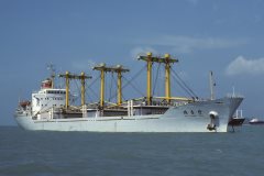 Thumbnail Image for Dai Hong Dan oncontextmenu=