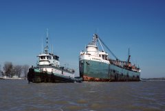 Thumbnail Image for Lakewood