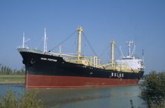 Thumbnail Image for Hand Fortune