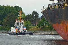 Thumbnail Image for Stein oncontextmenu=