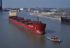 Thumbnail Image for Steel Flower oncontextmenu=