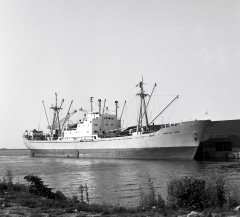 Thumbnail Image for Tappuz oncontextmenu=