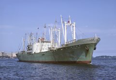 Thumbnail Image for Mayasan Maru oncontextmenu=