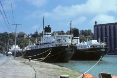 Thumbnail Image for Oakglen