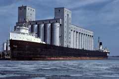 Thumbnail Image for Oakglen