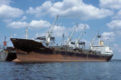 Thumbnail Image for Ocean Seagull