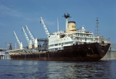 Thumbnail Image for Ocean Seagull