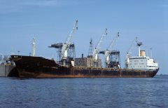 Thumbnail Image for Ocean Seagull