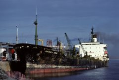 Thumbnail Image for Product Star oncontextmenu=