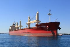 Thumbnail Image for Federal Barents