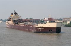 Thumbnail Image for Wolverine