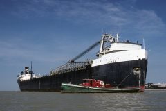 Thumbnail Image for Sharon