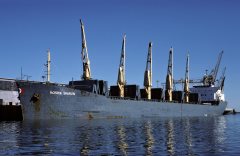 Thumbnail Image for Nosira Sharon