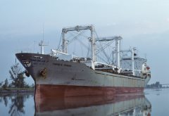 Thumbnail Image for Evangelia Petrakis