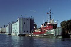 Thumbnail Image for Doris Moran