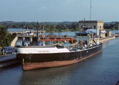 Thumbnail Image for Pacifica I