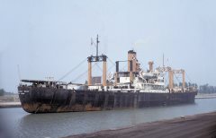 Thumbnail Image for Australian Reef oncontextmenu=