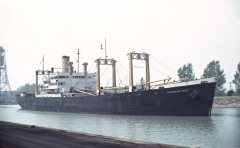 Thumbnail Image for Australian Reef oncontextmenu=