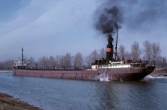 Thumbnail Image for Harvey H. Brown