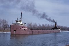 Thumbnail Image for Harvey H. Brown