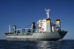 Thumbnail Image for Hea