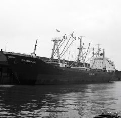 Thumbnail Image for Seadrake