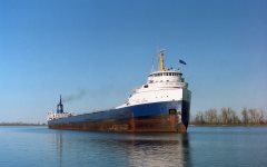 Thumbnail Image for Peter Misener