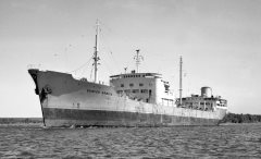 Thumbnail Image for Gunvor Brovig oncontextmenu=