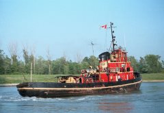 Thumbnail Image for Tusker oncontextmenu=