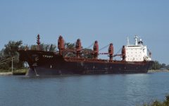 Thumbnail Image for Trudy