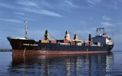 Thumbnail Image for Unique Alliance