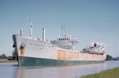 Thumbnail Image for Tritonica oncontextmenu=