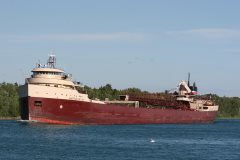 Thumbnail Image for American Fortitude