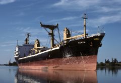 Thumbnail Image for Vanil