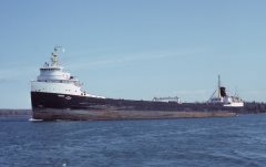 Thumbnail Image for Vandoc