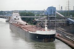 Thumbnail Image for American Republic