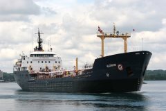 Thumbnail Image for Algonova