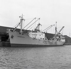 Thumbnail Image for Svanefjell oncontextmenu=